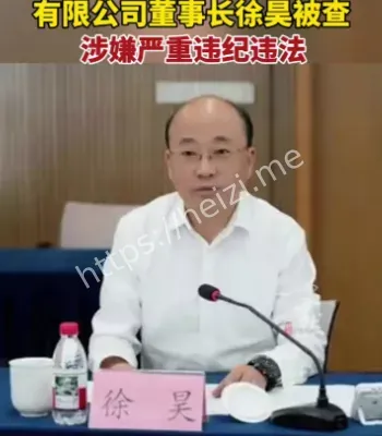 徐昊落马
